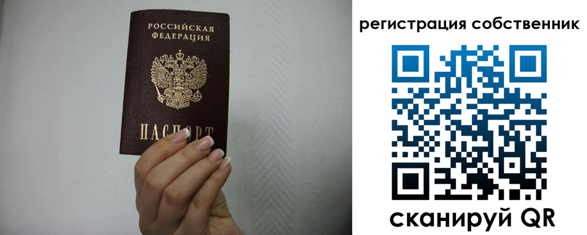 регистрация для дет. сада в Петропавловске-Камчатском